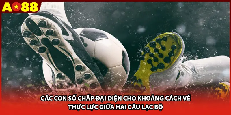 Các con số chấp đại diện cho khoảng cách về thực lực giữa hai câu lạc bộ