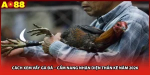 Cách Xem Vẩy Gà Đá – Cẩm Nang Nhận Diện Thần Kê Năm 2026