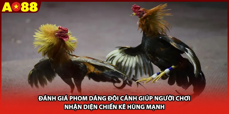 Đánh giá phom dáng đôi cánh giúp người chơi nhận diện chiến kê hùng mạnh