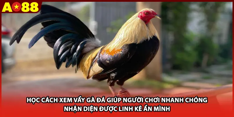 Học cách xem vẩy gà đá giúp người chơi nhanh chóng nhận diện được linh kê ẩn mình