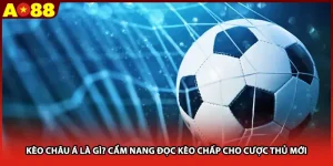 Kèo Châu Á Là Gì? Cẩm Nang Đọc Kèo Chấp Cho Cược Thủ Mới