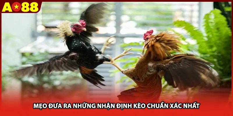 Mẹo đưa ra những nhận định kèo chuẩn xác nhất