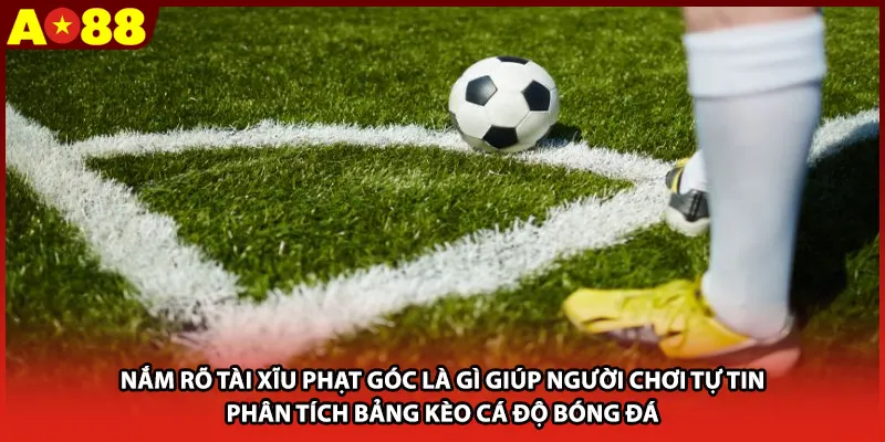 Nắm rõ tài xĩu phạt góc là gì giúp người chơi tự tin phân tích bảng kèo cá độ bóng đá