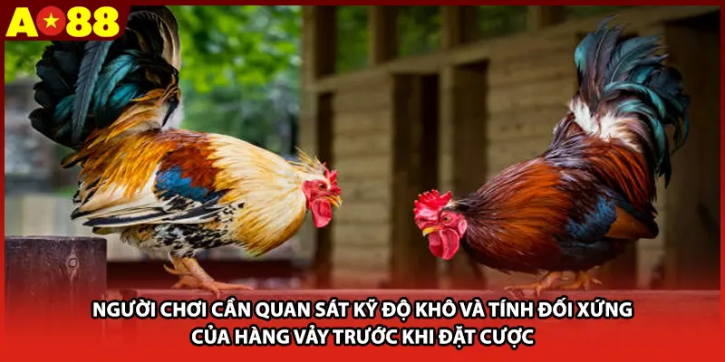 Người chơi cần quan sát kỹ độ khô và tính đối xứng của hàng vảy trước khi đặt cược