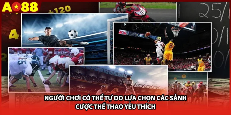 Người chơi có thể tự do lựa chọn các sảnh cược thể thao yêu thích