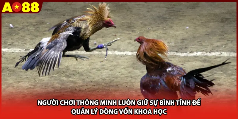 Người chơi thông minh luôn giữ sự bình tĩnh để quản lý dòng vốn khoa học