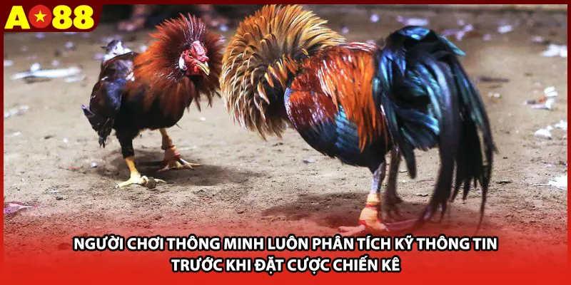 Người chơi thông minh luôn phân tích kỹ thông tin trước khi đặt cược chiến kê