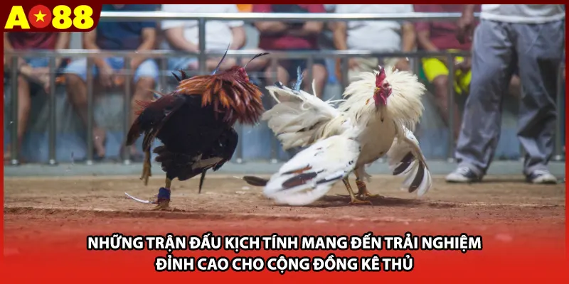 Những trận đấu kịch tính mang đến trải nghiệm đỉnh cao cho cộng đồng kê thủ