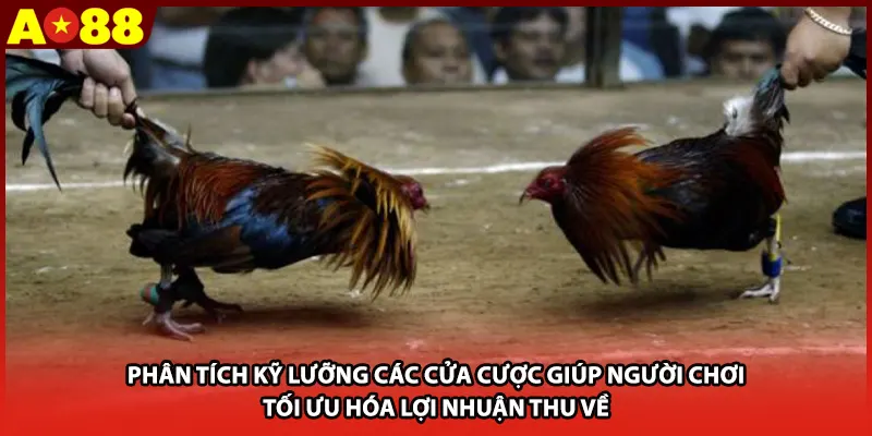 Phân tích kỹ lưỡng các cửa cược giúp người chơi tối ưu hóa lợi nhuận thu về